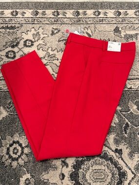 Express columnist mid-rise ankle pants